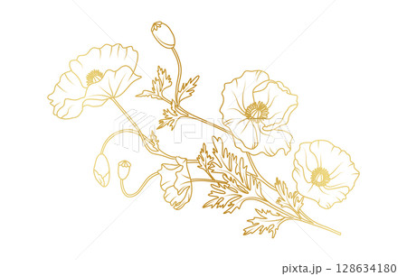 Golden poppy flowers line art isolated on white background. Luxury poppy floral design elements for invitation, wedding, wallpaper, print template, vector illustration 128634180