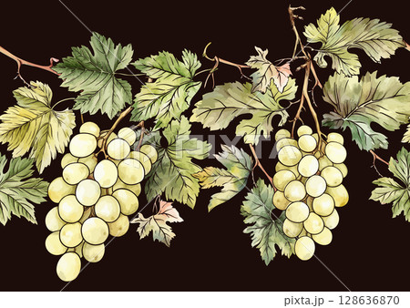 Seamless vector pattern with ripe grape Seamless vector pattern with ripe grape 128636870