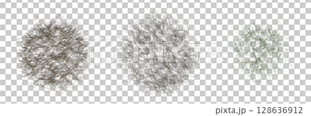 wild field grass, top view, isolated on a transparent background, 3D illustration, cg render wild field grass, top view, isolated on a transparent background, 3D illustration, cg render 128636912
