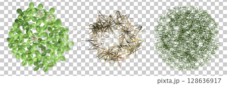 wild field grass, top view, isolated on a transparent background, 3D illustration, cg render wild field grass, top view, isolated on a transparent background, 3D illustration, cg render 128636917