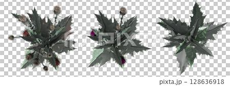 wild field grass, top view, isolated on a transparent background, 3D illustration, cg render wild field grass, top view, isolated on a transparent background, 3D illustration, cg render 128636918
