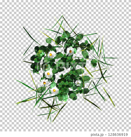 wild field grass, top view, isolated on a transparent background, 3D illustration, cg render wild field grass, top view, isolated on a transparent background, 3D illustration, cg render 128636919