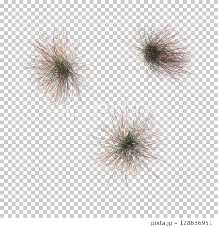 wild field grass, top view, isolated on a transparent background, 3D illustration, cg render wild field grass, top view, isolated on a transparent background, 3D illustration, cg render 128636951
