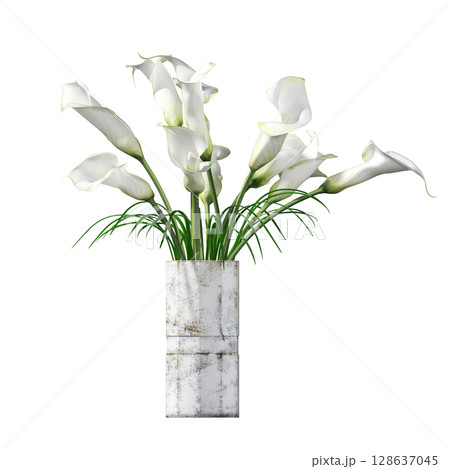 decorative flower in a pot isolate on a transparent background, 3D illustration, cg render 128637045