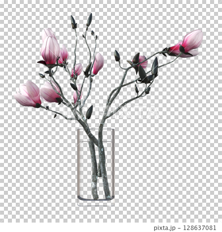 decorative flower in a pot isolate on a transparent background, 3D illustration, cg render 128637081