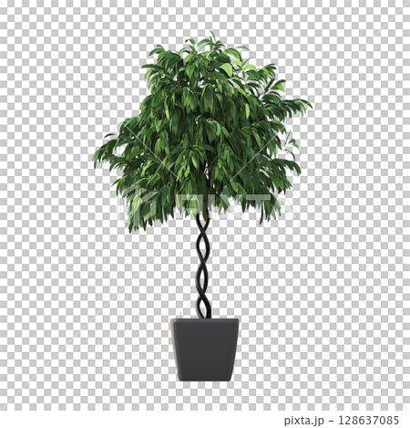 decorative flower in a pot isolate on a transparent background, 3D illustration, cg render 128637085