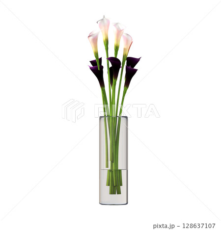 decorative flower in a pot isolate on a transparent background, 3D illustration, cg render decorative flower in a pot isolate on a transparent background, 3D illustration, cg render 128637107