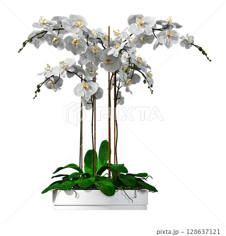 decorative flower in a pot isolate on a transparent background, 3D illustration, cg render 128637121