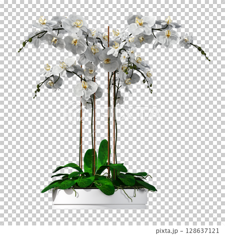decorative flower in a pot isolate on a transparent background, 3D illustration, cg render 128637121