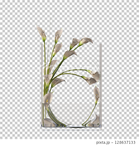 decorative flowers and plants for the interior, isolated on transparent background, 3D illustration, cg render decorative flowers and plants for the interior, isolated on transparent background, 3D illustration, cg render 128637133
