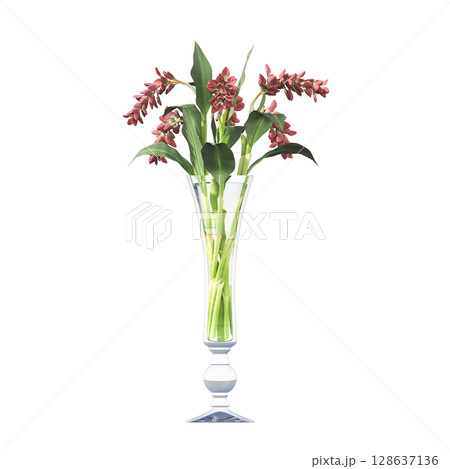 decorative flowers and plants for the interior, isolated on transparent background, 3D illustration, cg render 128637136