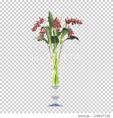 decorative flowers and plants for the interior, isolated on transparent background, 3D illustration, cg render 128637136