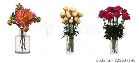 decorative flowers and plants for the interior, isolated on transparent background, 3D illustration, cg render 128637146