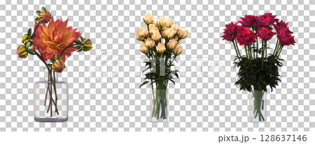 decorative flowers and plants for the interior, isolated on transparent background, 3D illustration, cg render 128637146