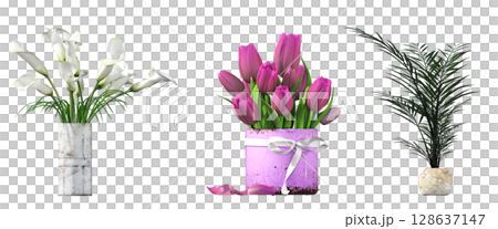 decorative flowers and plants for the interior, isolated on transparent background, 3D illustration, cg render decorative flowers and plants for the interior, isolated on transparent background, 3D illustration, cg render 128637147
