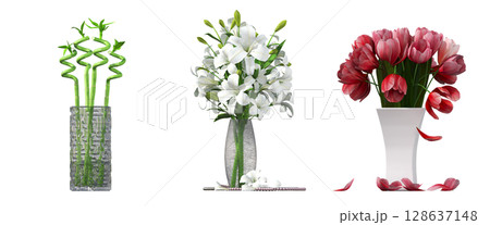 decorative flowers and plants for the interior, isolated on transparent background, 3D illustration, cg render 128637148