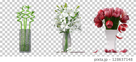 decorative flowers and plants for the interior, isolated on transparent background, 3D illustration, cg render decorative flowers and plants for the interior, isolated on transparent background, 3D illustration, cg render 128637148