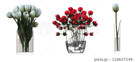 decorative flowers and plants for the interior, isolated on transparent background, 3D illustration, cg render decorative flowers and plants for the interior, isolated on transparent background, 3D illustration, cg render 128637149