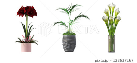 decorative flowers and plants for the interior, isolated on transparent background, 3D illustration, cg render 128637167