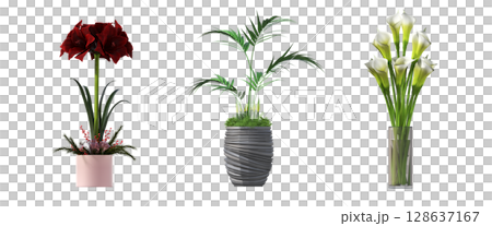 decorative flowers and plants for the interior, isolated on transparent background, 3D illustration, cg render 128637167