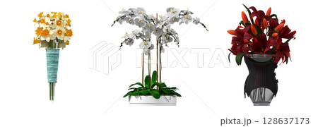 decorative flowers and plants for the interior, isolated on transparent background, 3D illustration, cg render 128637173