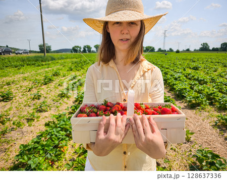 Farmer holding basket of freshly picked strawberries in field 128637336