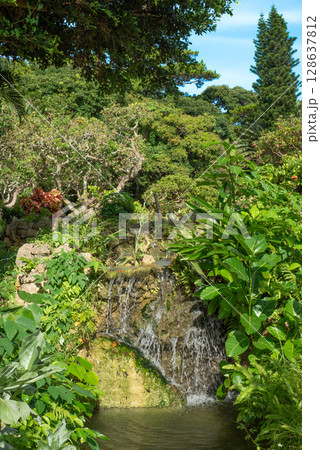宮古島 熱帯植物園 128637812
