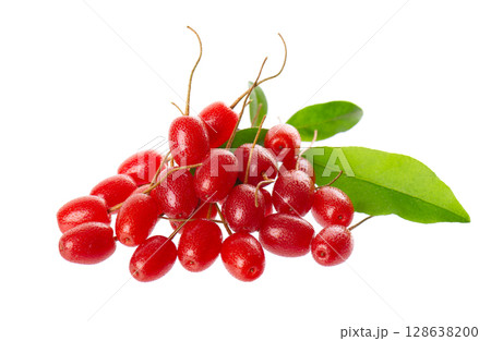 Elaeagnus multiflora isolated on white background. Cherry elaeagnus or cherry silverberry with green leaves. Goumi or gumi berry. Elaeagnus multiflora isolated on white background. Cherry elaeagnus or cherry silverberry with green leaves. Goumi or gumi berry. 128638200