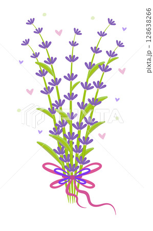 Bouquet of lavender with a bow, colorful illustration 128638266