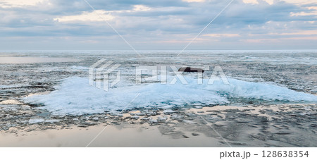 Peaceful scene of ice floes drifting in calm ocean waters with stunning sunset sky. Reflective water surface captures colorful clouds, evoking serenity and tranquility Peaceful scene of ice floes drifting in calm ocean waters with stunning sunset sky. Reflective water surface captures colorful clouds, evoking serenity and tranquility 128638354