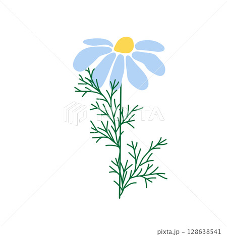 Wild and garden flowers, leaves. Modern vector botanical illustrations in trendy bright colors on white background. hand drawn floral design elements 128638541