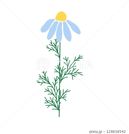 Wild and garden flowers, leaves. Modern vector botanical illustrations in trendy bright colors on white background. hand drawn floral design elements Wild and garden flowers, leaves. Modern vector botanical illustrations in trendy bright colors on white background. hand drawn floral design elements 128638542