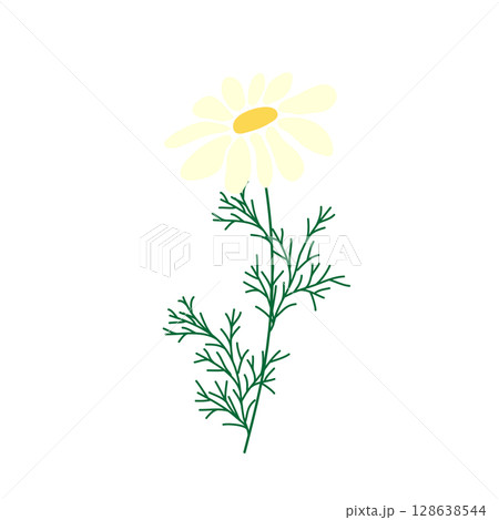 Wild and garden flowers, leaves. Modern vector botanical illustrations in trendy bright colors on white background. hand drawn floral design elements 128638544