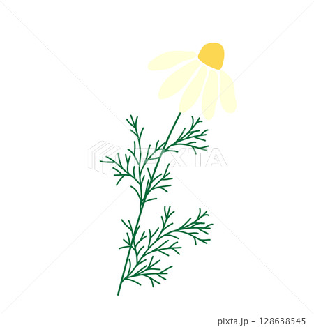 Wild and garden flowers, leaves. Modern vector botanical illustrations in trendy bright colors on white background. hand drawn floral design elements 128638545
