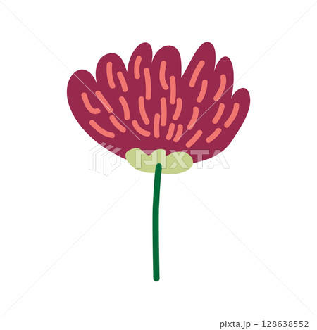 Wild and garden flowers, leaves. Modern vector botanical illustrations in trendy bright colors on white background. hand drawn floral design elements Wild and garden flowers, leaves. Modern vector botanical illustrations in trendy bright colors on white background. hand drawn floral design elements 128638552