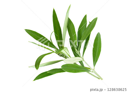 Olive green leaves isolated on white background. Top view. Flat lay. 128638625