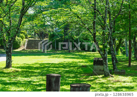 太陽の陽ざしと影に映える新緑風景(菊池市・菊池公園) 太陽の陽ざしと影に映える新緑風景(菊池市・菊池公園) 128638965