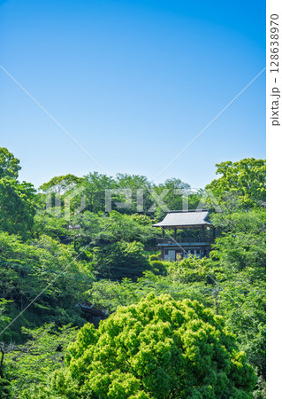 初夏の青空を背景に映える新緑風景(菊池市・菊池公園) 初夏の青空を背景に映える新緑風景(菊池市・菊池公園) 128638970