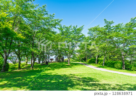 初夏の青空を背景に映える新緑風景(菊池市・菊池公園) 初夏の青空を背景に映える新緑風景(菊池市・菊池公園) 128638971