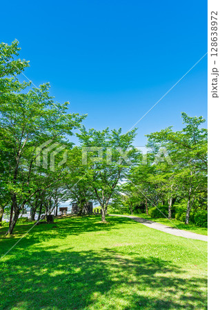 初夏の青空を背景に映える新緑風景(菊池市・菊池公園) 初夏の青空を背景に映える新緑風景(菊池市・菊池公園) 128638972