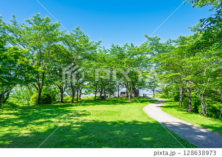 初夏の青空を背景に映える新緑風景(菊池市・菊池公園) 128638973
