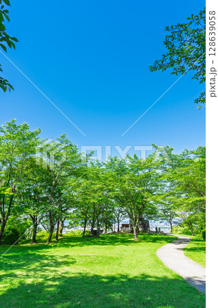 太陽の陽ざしと影に映える新緑風景(菊池市・菊池公園) 太陽の陽ざしと影に映える新緑風景(菊池市・菊池公園) 128639058