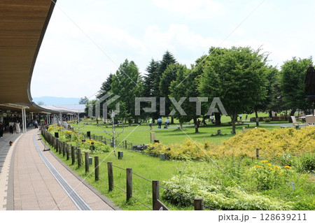 緑につつまれた軽井沢プリンスショッピングプラザ 128639211