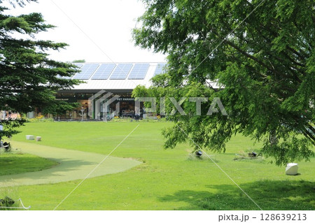 緑につつまれた軽井沢プリンスショッピングプラザ 128639213