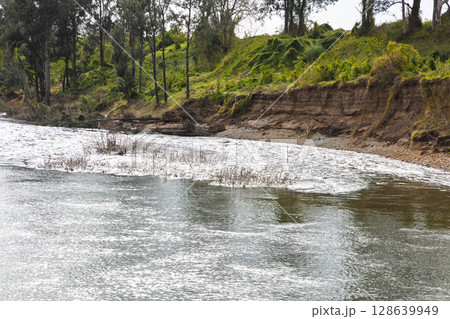 The Nepean River flowing through Yarramundi Reserve 128639949