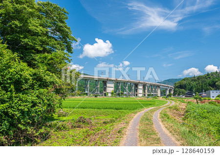 西浅井町の田園地帯を通る湖西線の高架橋　滋賀県長浜市 128640159