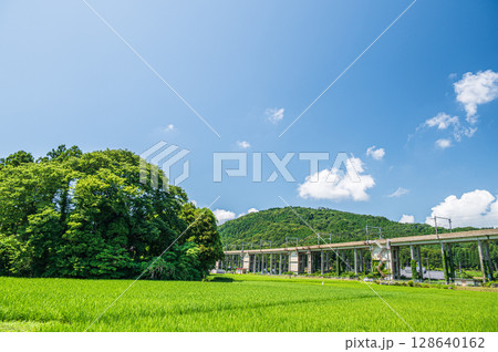 西浅井町の田園地帯を通る湖西線の高架橋　滋賀県長浜市 128640162