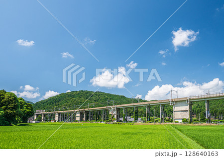 西浅井町の田園地帯を通る湖西線の高架橋 滋賀県長浜市 西浅井町の田園地帯を通る湖西線の高架橋 滋賀県長浜市 128640163