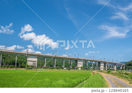 西浅井町の田園地帯を通る湖西線の高架橋　滋賀県長浜市 128640165