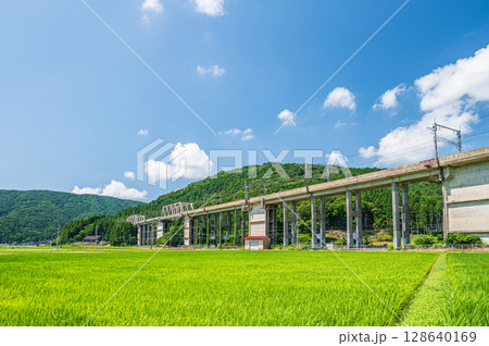 西浅井町の田園地帯を通る湖西線の高架橋 滋賀県長浜市 西浅井町の田園地帯を通る湖西線の高架橋 滋賀県長浜市 128640169